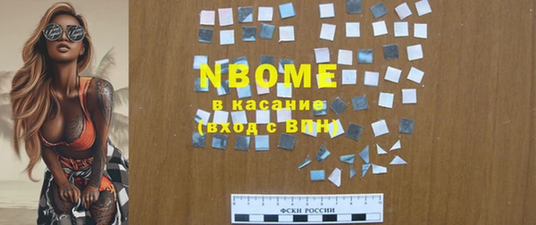 прущие грибы Новозыбков