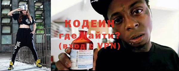 прущие грибы Новозыбков