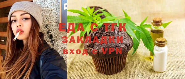 прущие грибы Новозыбков
