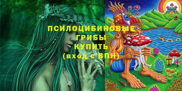 таблы Новодвинск