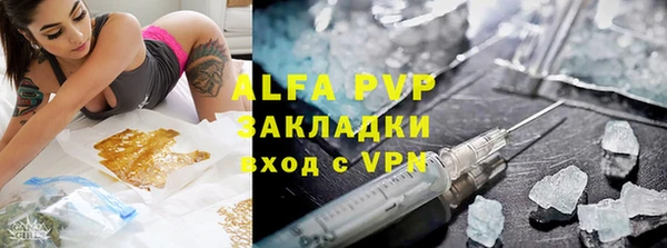 прущие грибы Новозыбков