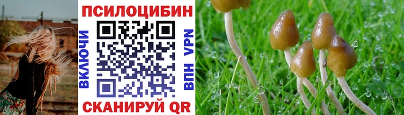 Псилоцибиновые грибы ЛСД  Курчалой 