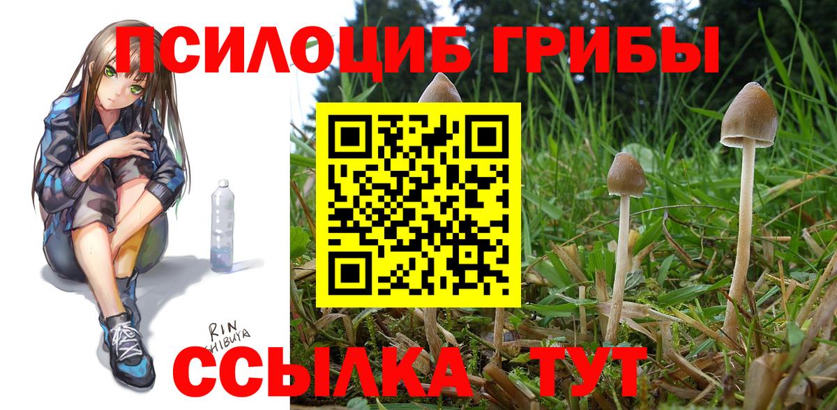 Галлюциногенные грибы MAGIC MUSHROOMS Курчалой