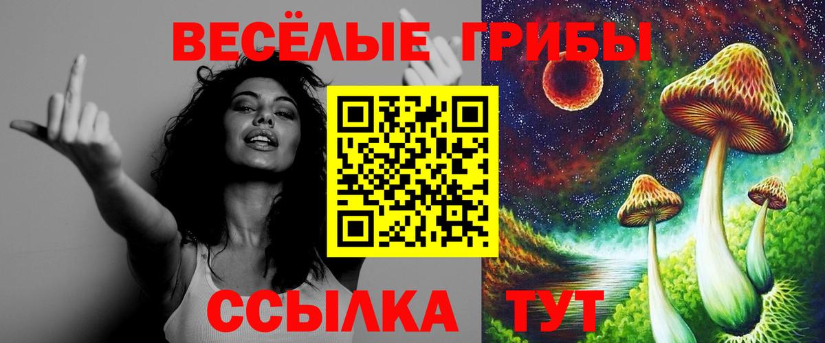 Псилоцибиновые грибы Magic Shrooms  Вход с VPN  купить наркоту  Курчалой 